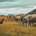 Photo taken by timothy m