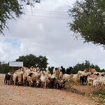 Photo taken by Brenda J