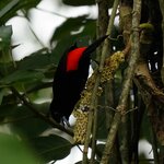 Photo taken by Kelly C