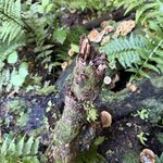 Photo taken by Mary B