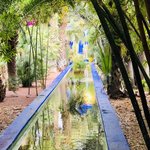 Majorelle garden  | Photo taken by Filipinas C
