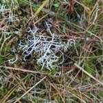 Photo taken by Debbie B