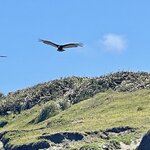 Photo taken by Caner K