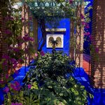 Photo taken by Monika S