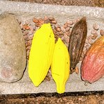 Photo taken by Jon P