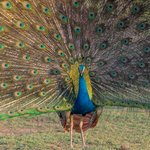 Photo taken by Graham D