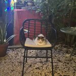 Photo taken by Imogen E