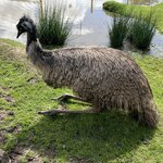 Photo taken by Rosemary S