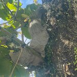 Photo taken by Radha P