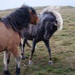 Photo taken by Mark Z