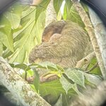 Photo taken by Tracie D