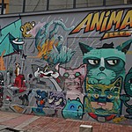 Photo taken by Janice B