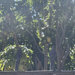 Photo taken by Shanthi V