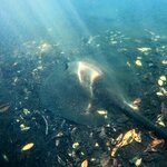 Photo taken by Elise C