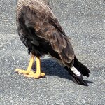 Photo taken by Arnie S