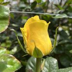 Photo taken by Scott M