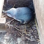 Photo taken by Kaya W