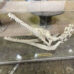 Photo taken by Monika S