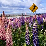 Photo taken by Caner K