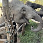 Photo taken by Thomas C