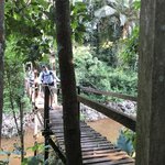 A bridge | Photo taken by Elisa M