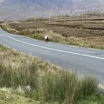 Photo taken by Harry S