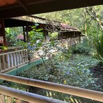 Photo taken by JULIE M