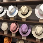 Photo taken by Sandra R