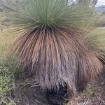 Photo taken by William F