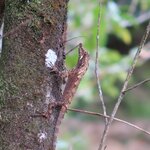 Photo taken by Randall C