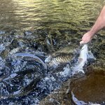 Photo taken by Rob C