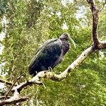 Photo taken by KLAUS A