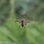 Photo taken by mindy n