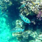 Photo taken by Maryann S