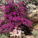 Photo taken by Nancy A