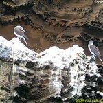 Photo taken by Richard P