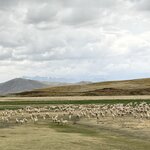 Photo taken by Anisha L