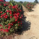 Photo taken by Rebecca E