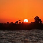 Photo taken by Tom B