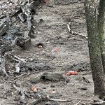 Photo taken by Natasha J