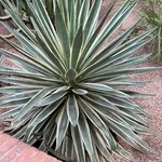 Photo taken by Becky S