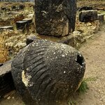 Photo taken by Rajarshi M