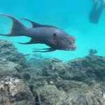 Photo taken by Lisa P