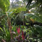 Photo taken by Juliette S