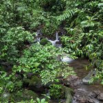 Photo taken by Jason C