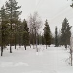 Photo taken by chelsea t