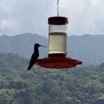 Photo taken by Kevin S