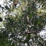 Photo taken by Shanthi V