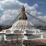 Photo taken by Willow K