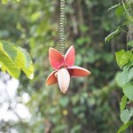 Photo taken by Joyce C